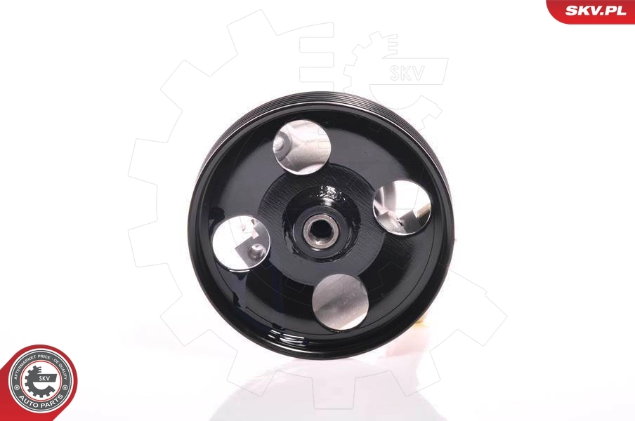 Hydraulic Pump, steering